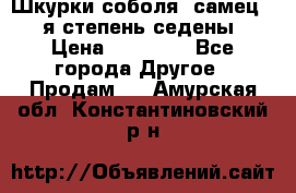 Шкурки соболя (самец) 1-я степень седены › Цена ­ 12 000 - Все города Другое » Продам   . Амурская обл.,Константиновский р-н